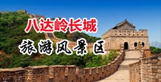 操操骚逼网站中国北京-八达岭长城旅游风景区